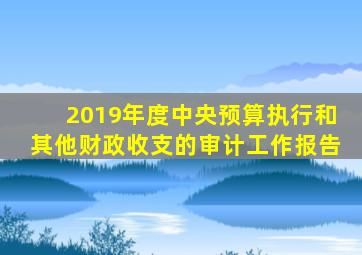 2019年度中央预算执行和其他财政收支的审计工作报告