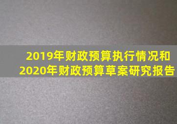 2019年财政预算执行情况和2020年财政预算草案研究报告