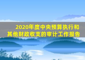 2020年度中央预算执行和其他财政收支的审计工作报告