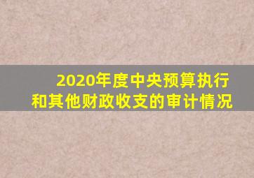 2020年度中央预算执行和其他财政收支的审计情况