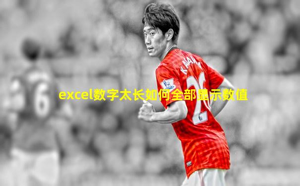 excel数字太长如何全部显示数值