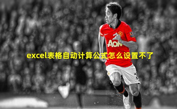 excel表格自动计算公式怎么设置不了