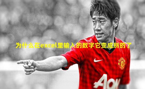 为什么在excel里输入的数字它变成别的了