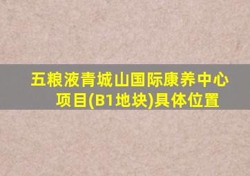 五粮液青城山国际康养中心项目(B1地块)具体位置