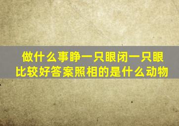 做什么事睁一只眼闭一只眼比较好答案照相的是什么动物