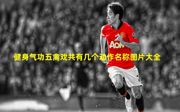 健身气功五禽戏共有几个动作名称图片大全