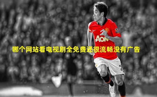 哪个网站看电视剧全免费还很流畅没有广告