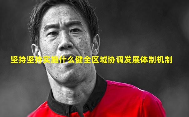 坚持坚持实施什么健全区域协调发展体制机制