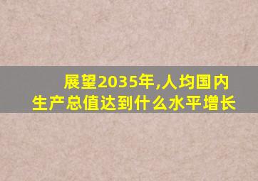 展望2035年,人均国内生产总值达到什么水平增长