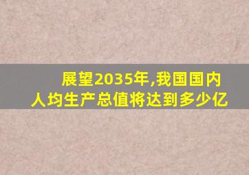 展望2035年,我国国内人均生产总值将达到多少亿