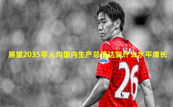 展望2035年人均国内生产总值达到什么水平增长