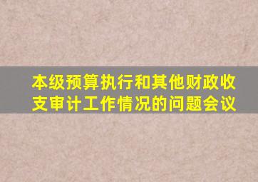 本级预算执行和其他财政收支审计工作情况的问题会议