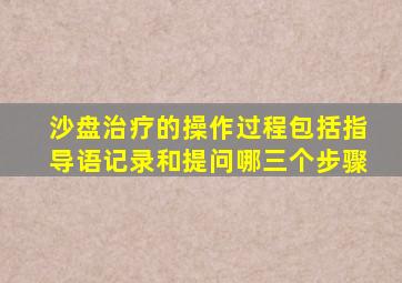 沙盘治疗的操作过程包括指导语记录和提问哪三个步骤