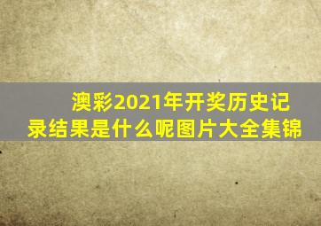 澳彩2021年开奖历史记录结果是什么呢图片大全集锦
