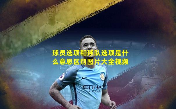 球员选项和球队选项是什么意思区别图片大全视频