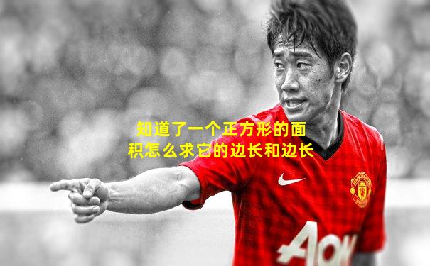 知道了一个正方形的面积怎么求它的边长和边长
