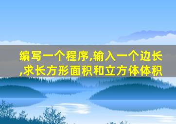 编写一个程序,输入一个边长,求长方形面积和立方体体积