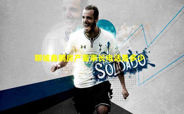 聊城鑫鹏房产董事长电话是多少