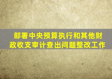 部署中央预算执行和其他财政收支审计查出问题整改工作