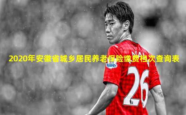 2020年安徽省城乡居民养老保险缴费档次查询表
