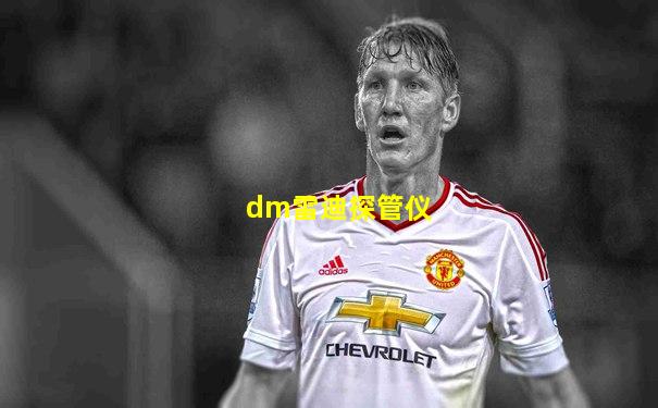 dm雷迪探管仪