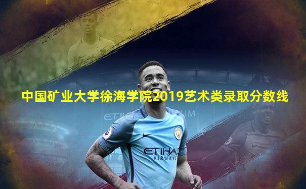 中国矿业大学徐海学院2019艺术类录取分数线