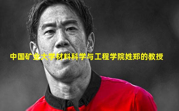 中国矿业大学材料科学与工程学院姓郑的教授