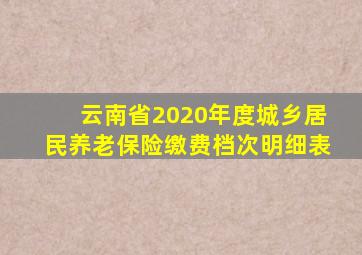 云南省2020年度城乡居民养老保险缴费档次明细表