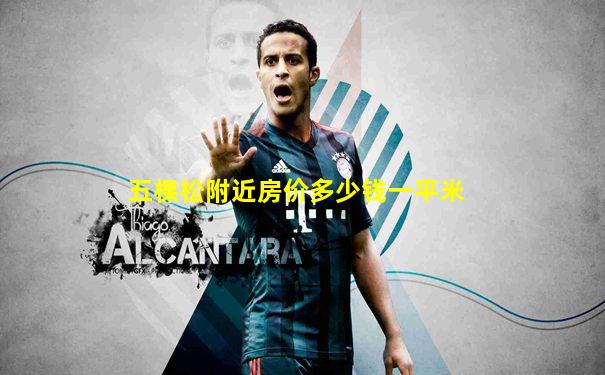 五棵松附近房价多少钱一平米