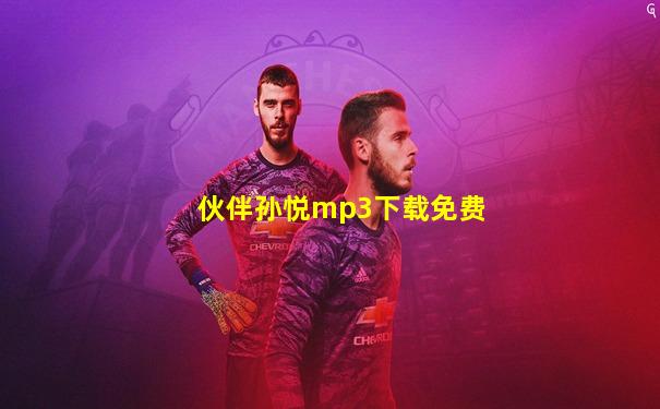 伙伴孙悦mp3下载免费