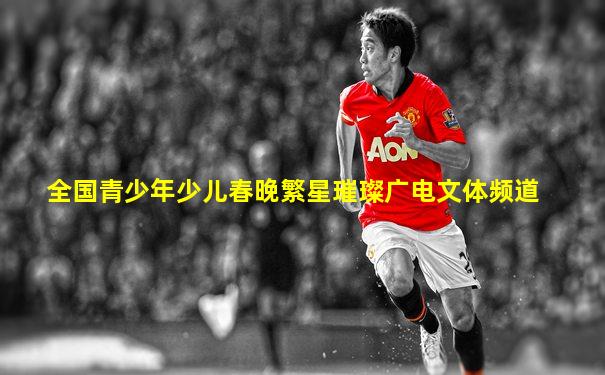 全国青少年少儿春晚繁星璀璨广电文体频道