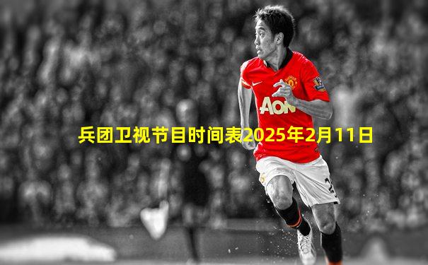 兵团卫视节目时间表2025年2月11日