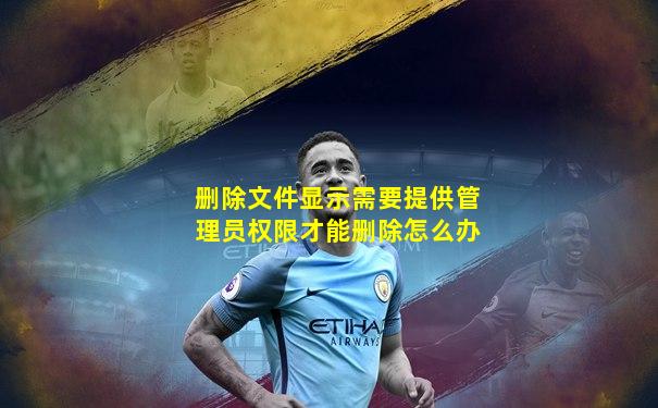 删除文件显示需要提供管理员权限才能删除怎么办