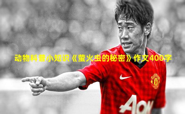动物科普小知识《萤火虫的秘密》作文400字