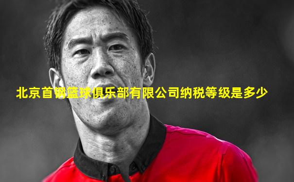 北京首钢篮球俱乐部有限公司纳税等级是多少