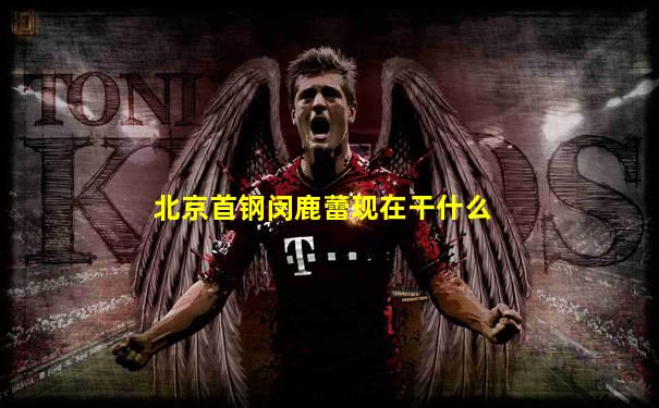 北京首钢闵鹿蕾现在干什么