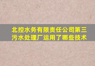北控水务有限责任公司第三污水处理厂运用了哪些技术