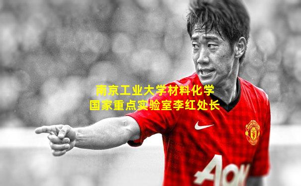 南京工业大学材料化学国家重点实验室李红处长