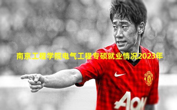南京工程学院电气工程专硕就业情况2023年