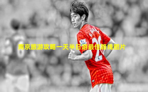 南京旅游攻略一天半日游最佳路线图片