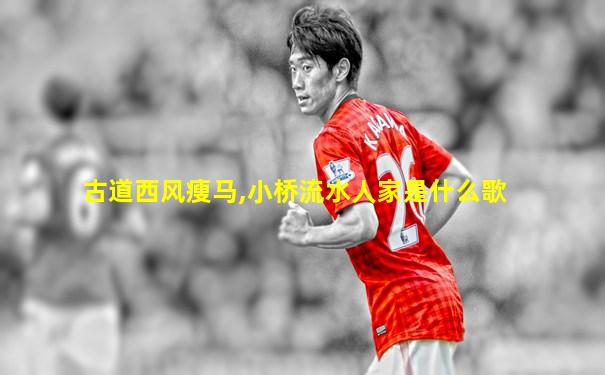 古道西风瘦马,小桥流水人家是什么歌