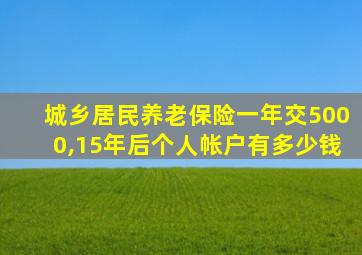 城乡居民养老保险一年交5000,15年后个人帐户有多少钱
