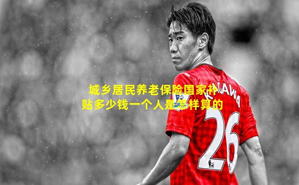城乡居民养老保险国家补贴多少钱一个人是怎样算的