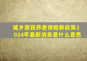 城乡居民养老保险新政策2024年最新消息是什么意思