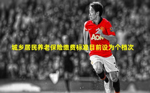 城乡居民养老保险缴费标准目前设为个档次