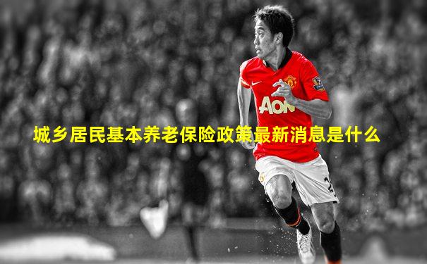 城乡居民基本养老保险政策最新消息是什么