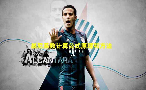 基尼系数计算公式原理和方法