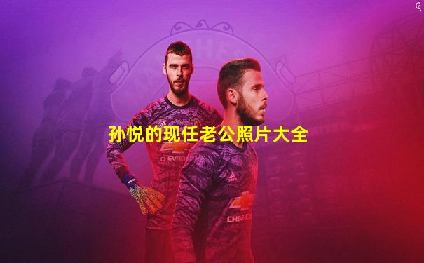 孙悦的现任老公照片大全