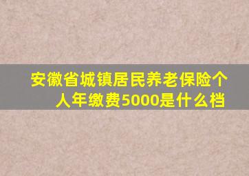 安徽省城镇居民养老保险个人年缴费5000是什么档