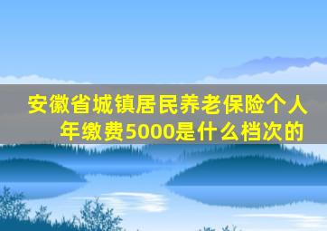 安徽省城镇居民养老保险个人年缴费5000是什么档次的
